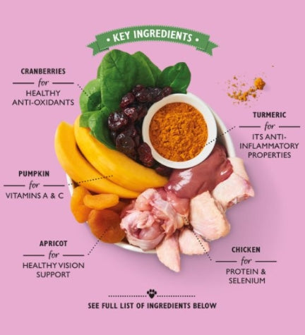 Lily's Kitchen Coronation Chicken Wet Dog Food Box 10x150G