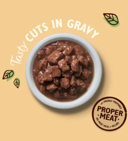 Lily's Kitchen Tasty Cuts in Gravy for Kittens Multipack - 8X85G