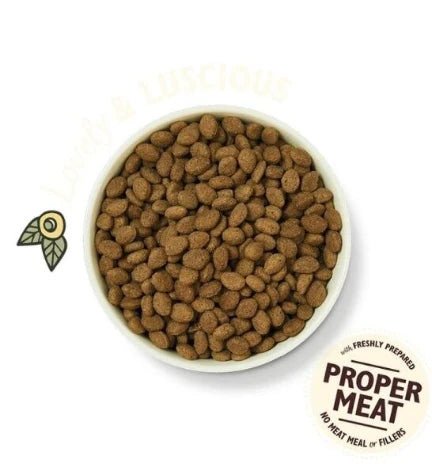 Lily's Kitchen Shepherd's Pie Lamb Grain Free Adult Dry Dog Food - 7KG