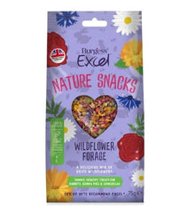 Burgess Excel Wildflower Forage Small Pet Treats - 75G
