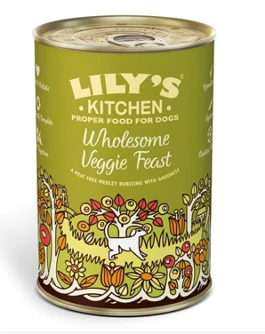 Lily's Kitchen Wholesome Veggie Feast Wet Dog Food Box 6x375G