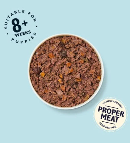 Lily's Kitchen Turkey & Duck Recipe Puppy Food - 400G