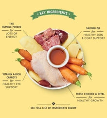 Lily's Kitchen Chicken Recipe Puppy Food Box - 10X150G