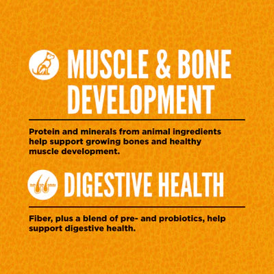 Orijen All Breed Puppy Dry Food - 6KG