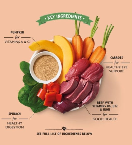 Lily's Kitchen Dog Beef Goulash Dog Wet Food Box 10x150G