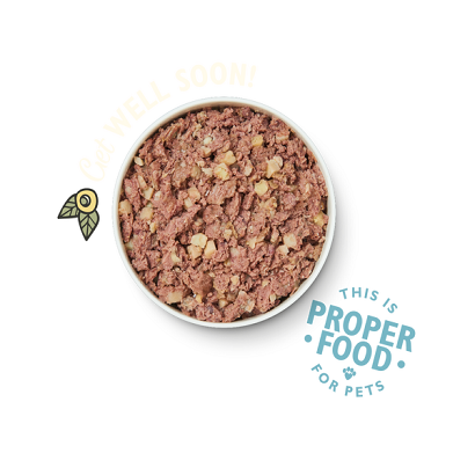 Lily's Kitchen Recovery Recipe Wet Dog Food Box 6x400G