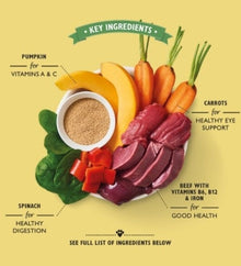 Lily's Kitchen Dog Beef Goulash Wet Food Box 6x400G