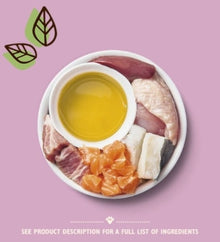 Lily's Kitchen Chicken Cod & Salmon Pate Kitten Wet Food Box 19x85G