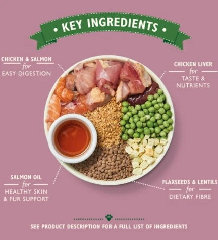 Lily's Kitchen Puppy Recipe with Chicken, Salmon & Peas Dry Food - 1KG