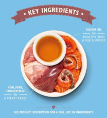 Lily's Kitchen Organic Fish Pate Wet Cat Food Box 19x85G